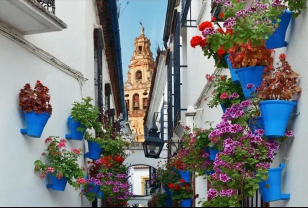 San Rafael Home قرطبة المظهر الخارجي الصورة